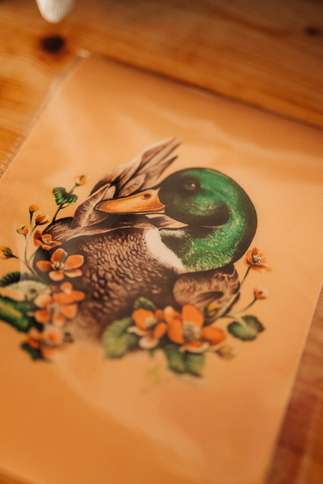 Artprint Erpel Egon von Jessica Mach